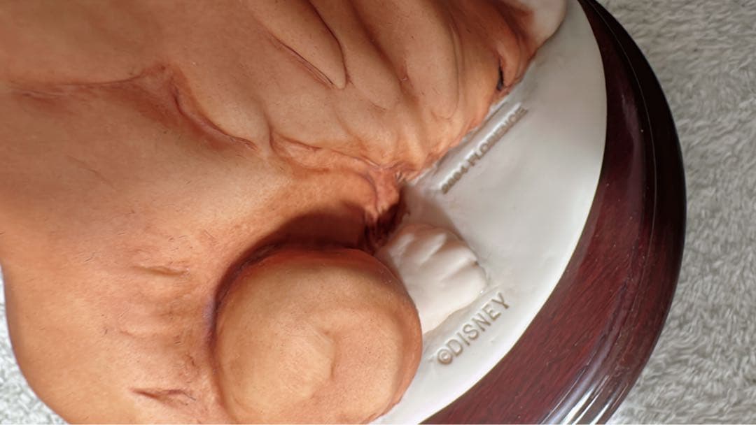 Disney Lady オリジナルボックス付き