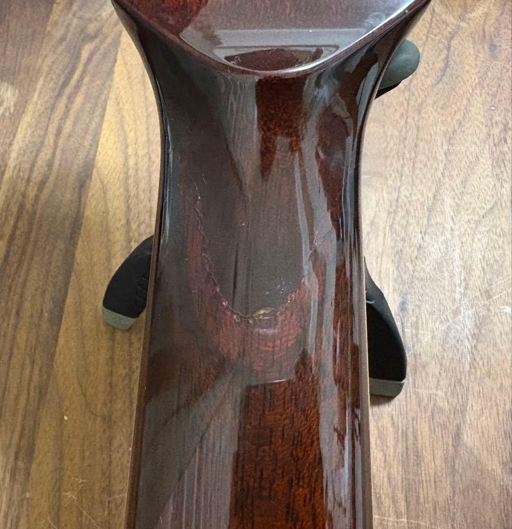 ギター History / NT-501