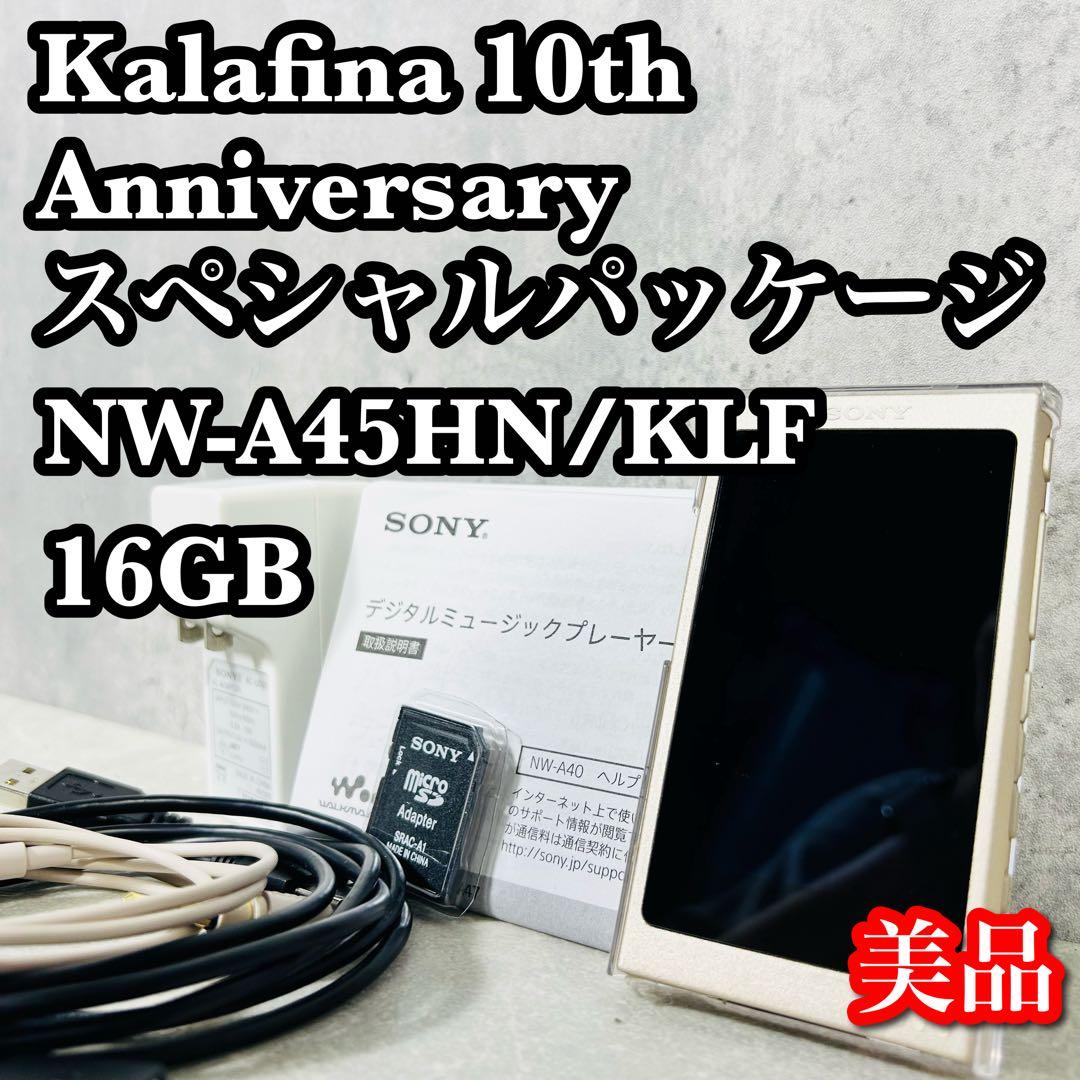 kalafina SONY ウォークマンNW-A45HN 専用クリアケース付き