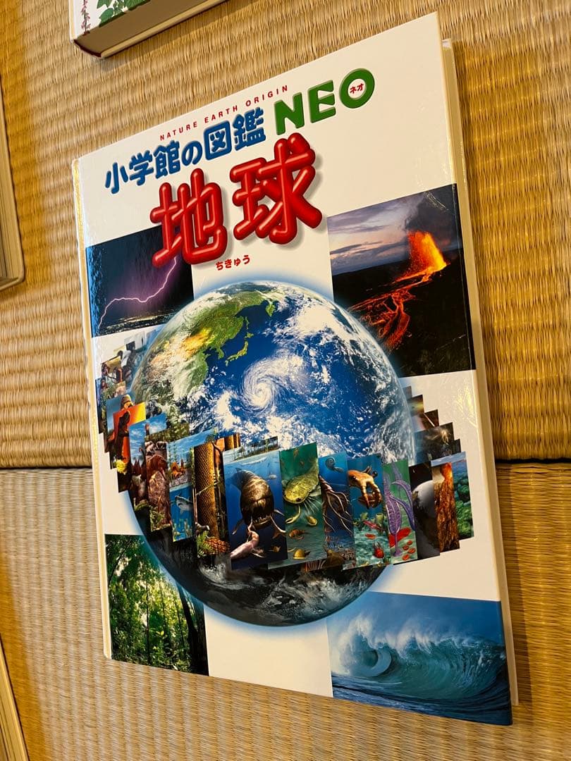 小学館の図鑑NEO 11巻セット