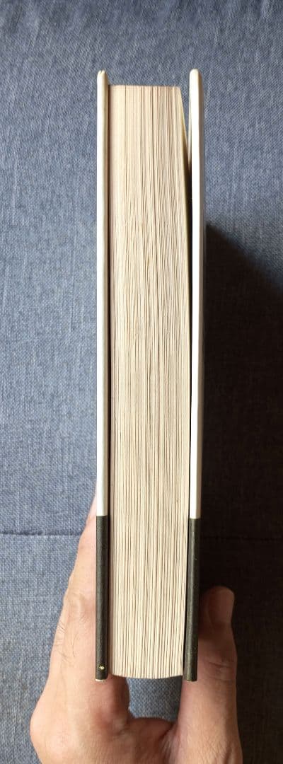 メガ・ニュートリション―スーパー・ヘルスをめざして (現代栄養学の世界 4)