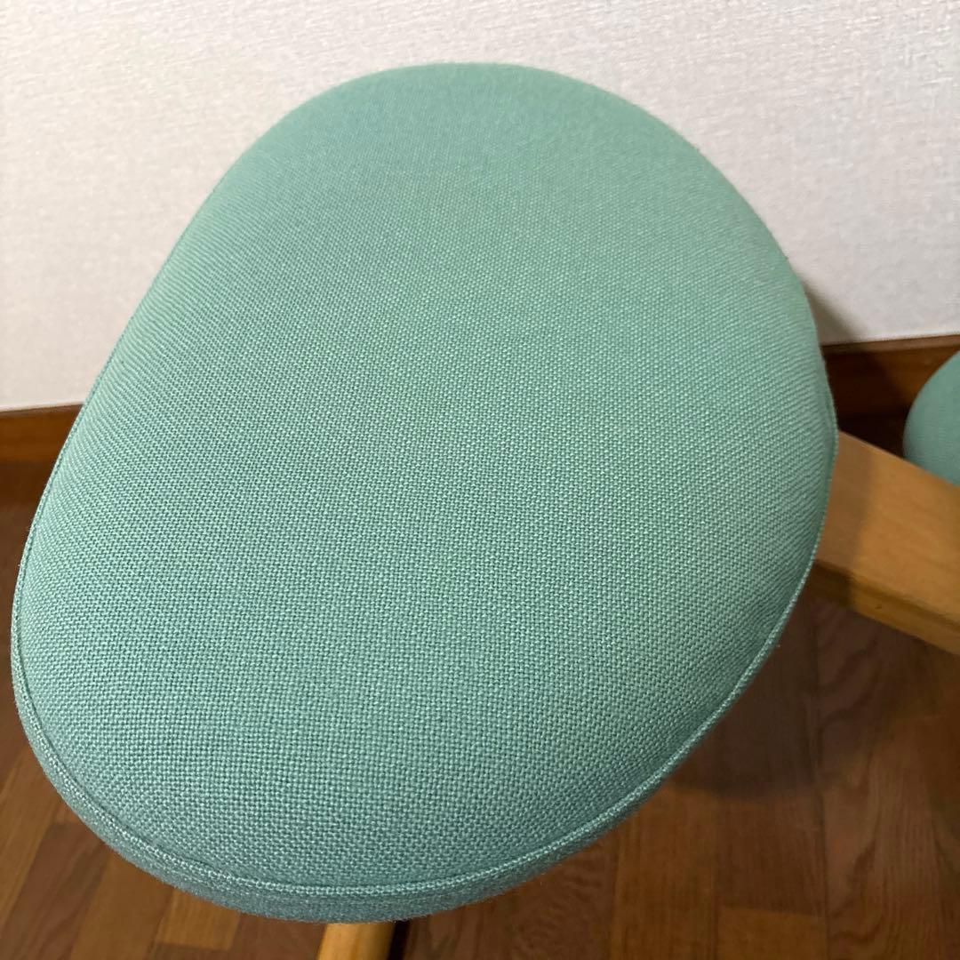 【匿名配送】バランスイージー Rybo 通常フレーム