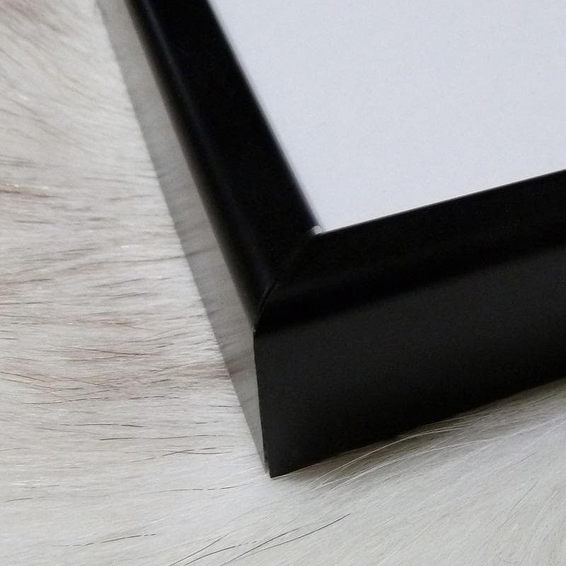 特別額装品/シャネル Red/アンディ ウォーホル/インテリア/ポスター/アート