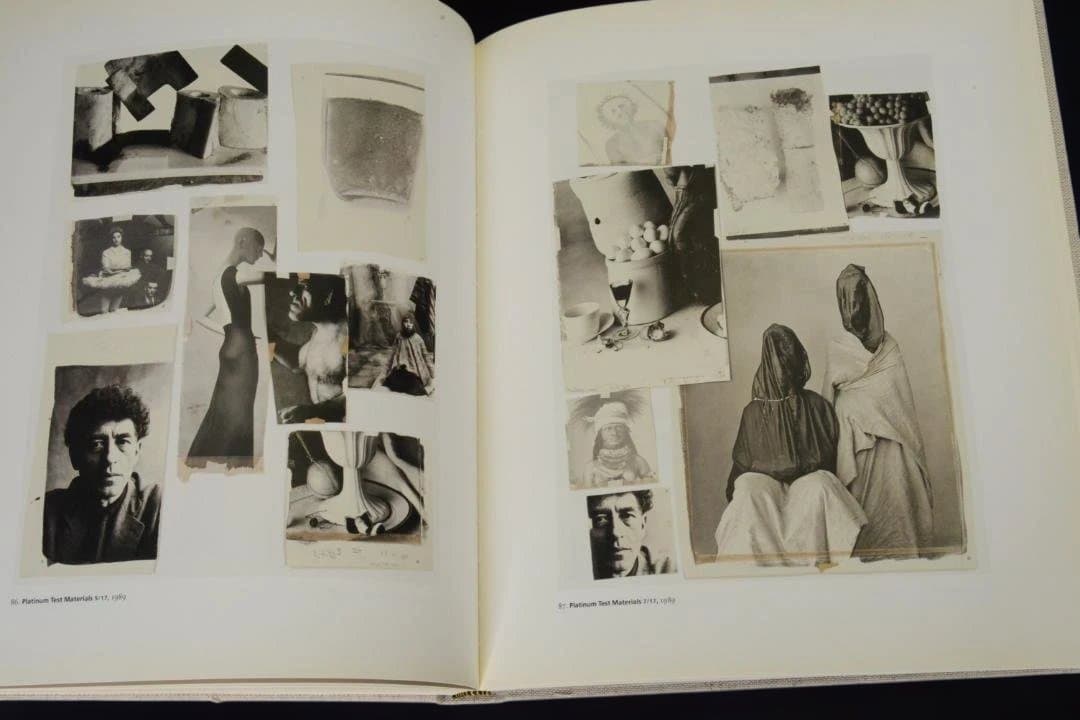 【Irving Penn: Platinum Prints】未読・美本