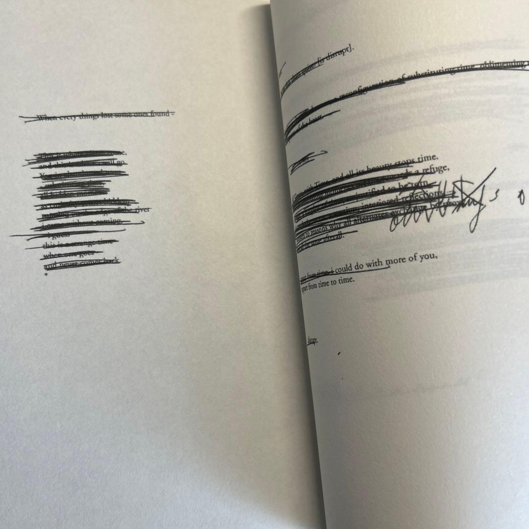 【洋書】Mark Borthwick