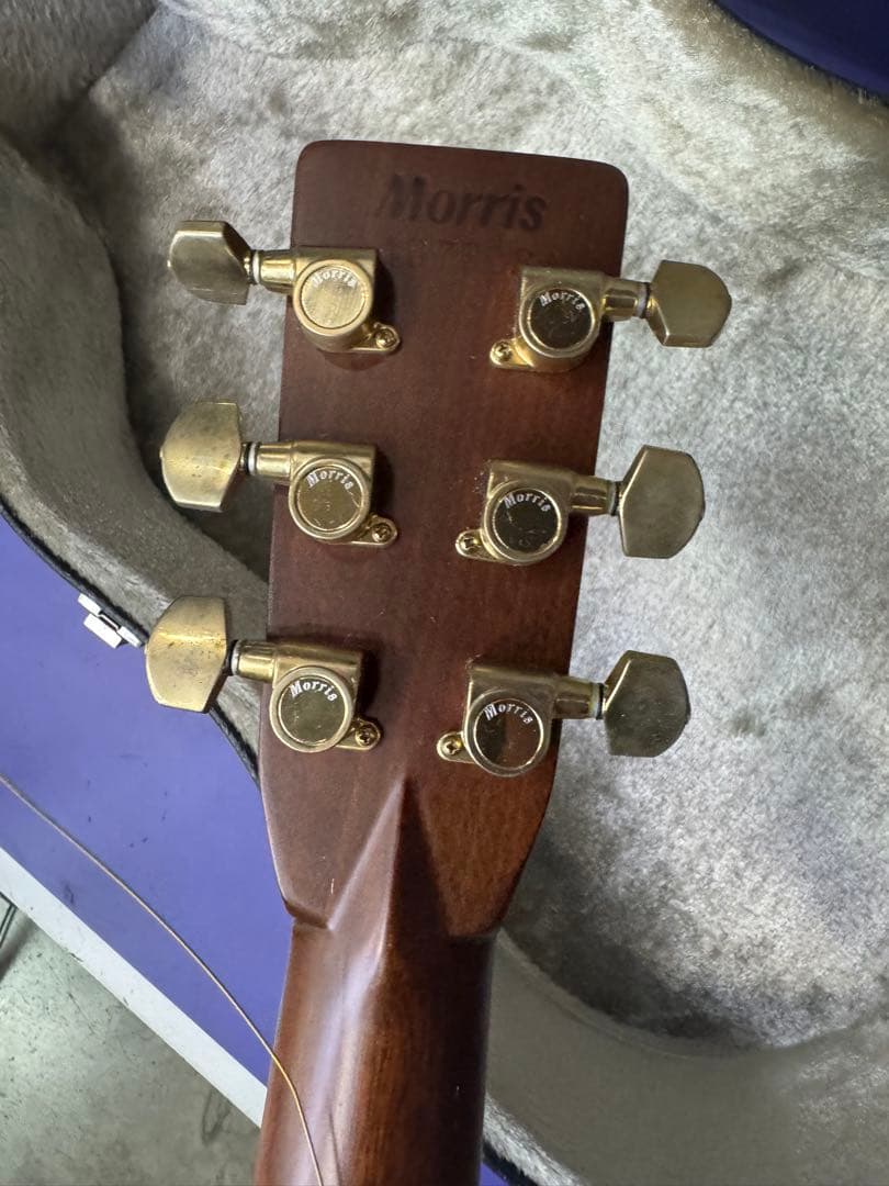 MORRIS TF-801 アコースティックギター