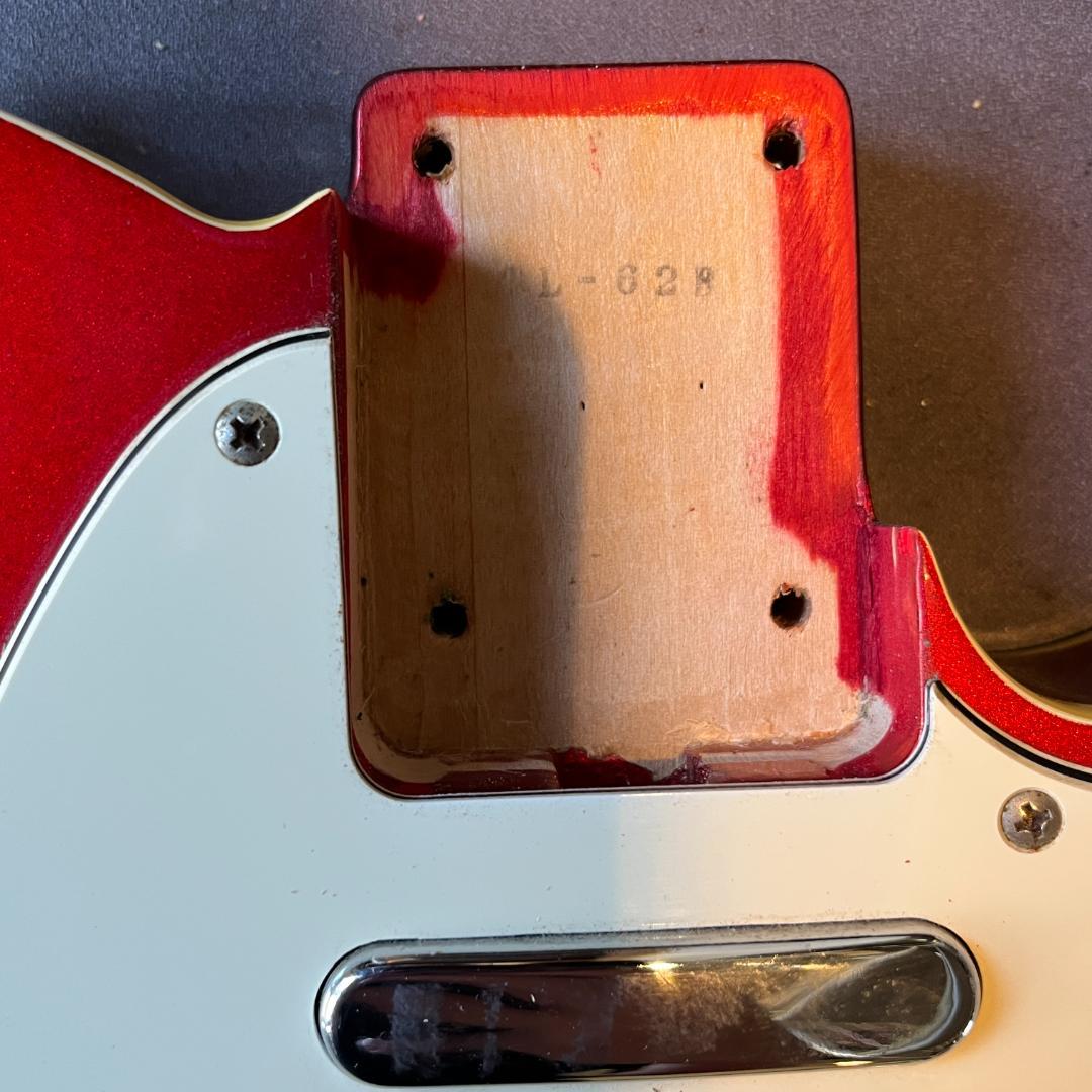 Fernandes TE-1 (Fender Japan TL62B ボディ)