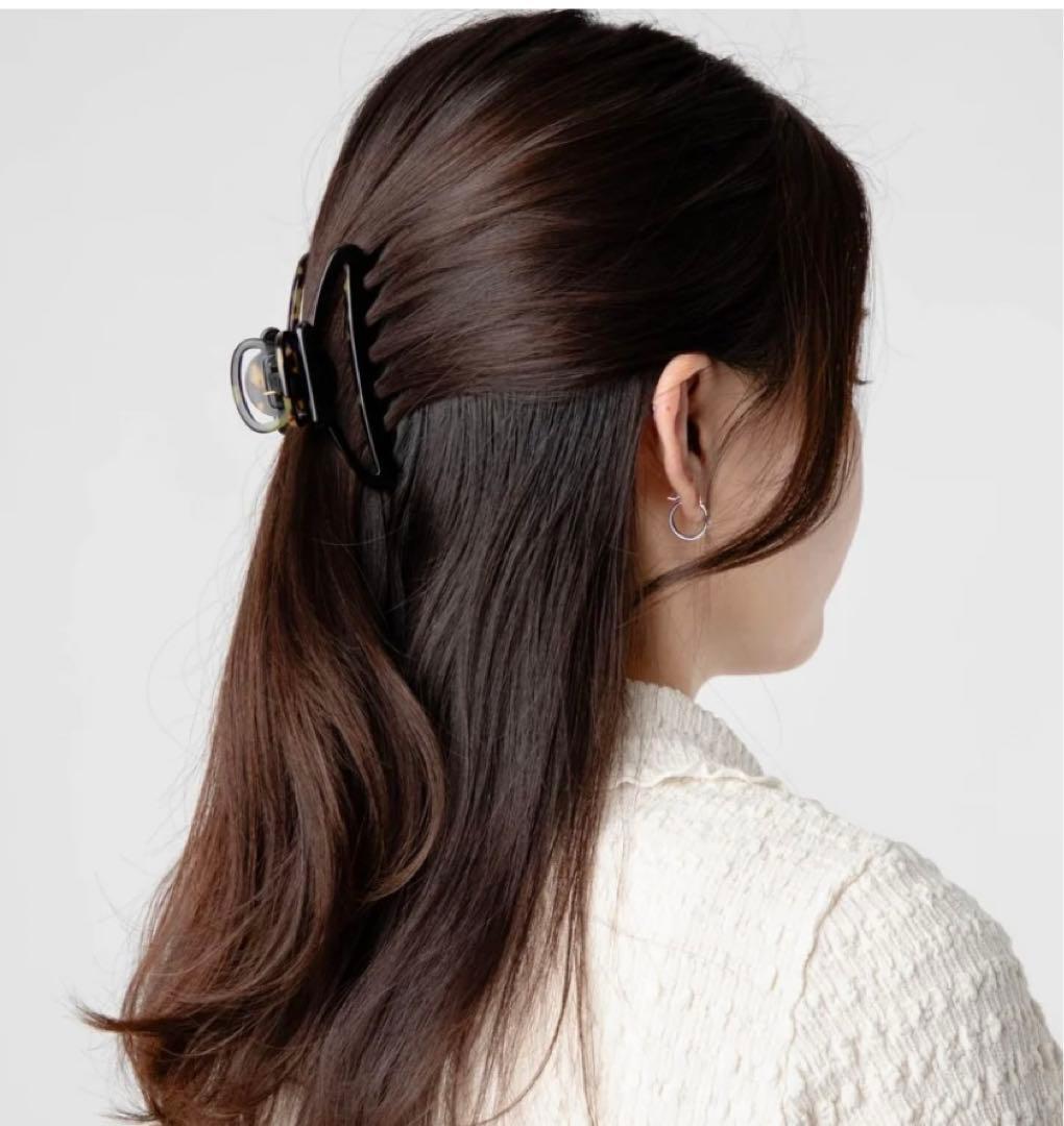 ALEXANDRE DE PARIS ヘアクリップ　ブラック