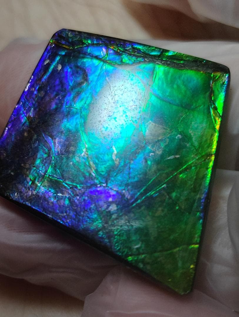 アンモライト　ルース　24-0743 37500