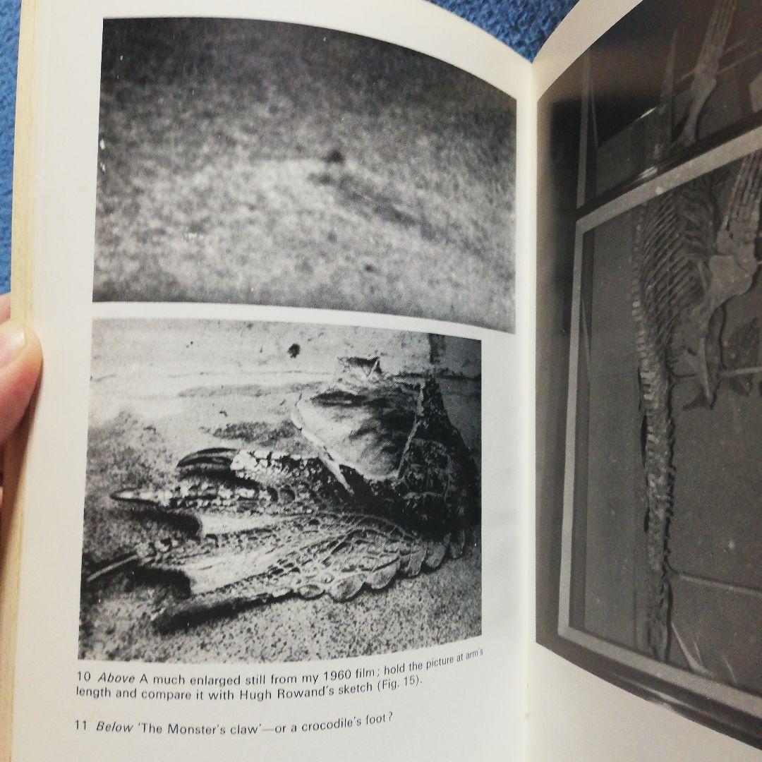 洋書 LOCH NESS MONSTER by Tim Dinsdale