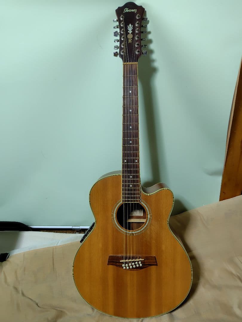 【12弦エレアコ】Ibanez ／弦高低め弾きやすい・ソフトケース付・値段応相談