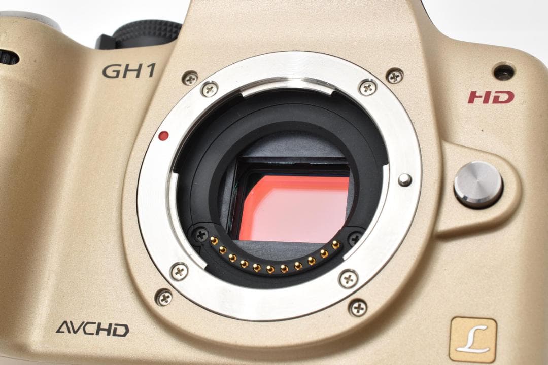 ★美品★パナソニック LUMIX DMC-GH1 ボディ #20853