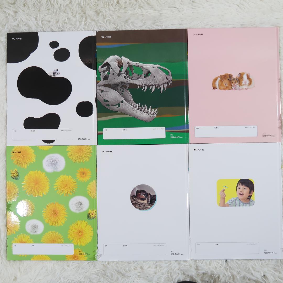 キンダーブック　しぜん 50冊セット　【24時間以内発送】