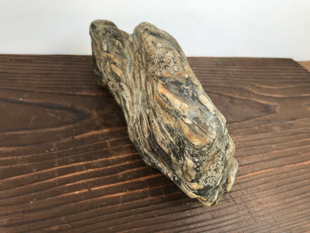 【水石】瀬田川『虎石』乱虎石