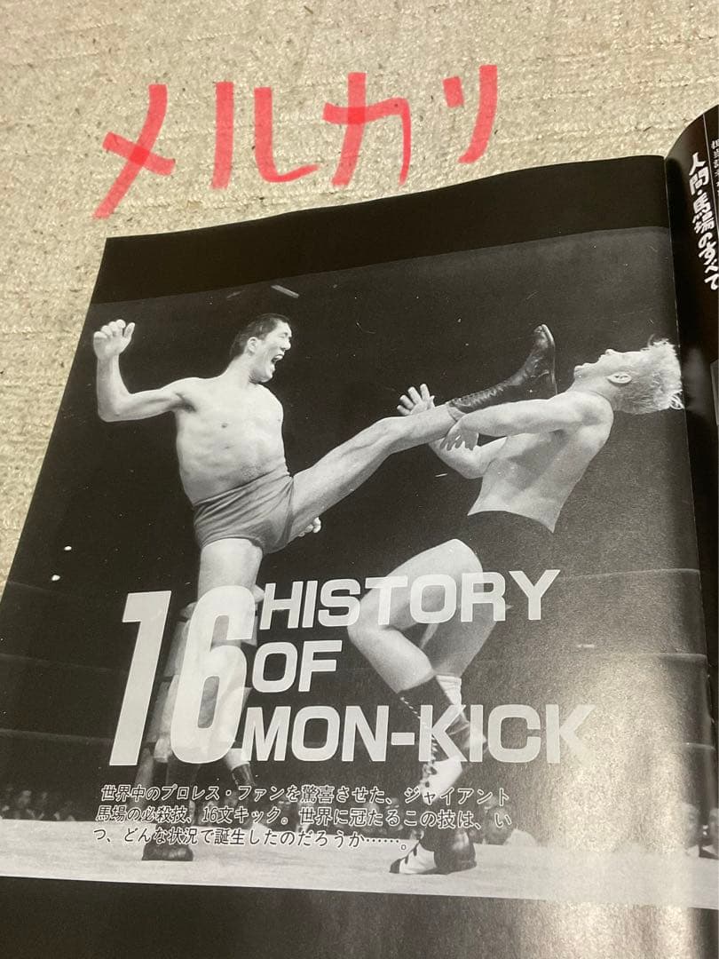 我が心のジャイアント馬場・完全保存版／日刊スポーツグラフ。【66頁　美品】