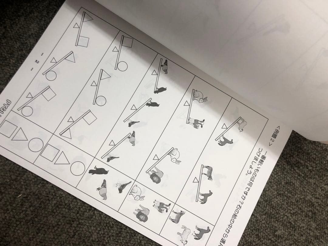 ピグマリオン　能力育成問題集　全40冊　中古　２０２４年受験