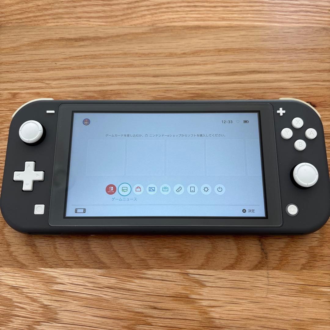 【美品・大人使用】Switch Lite グレー 本体【スティック公式整備済】