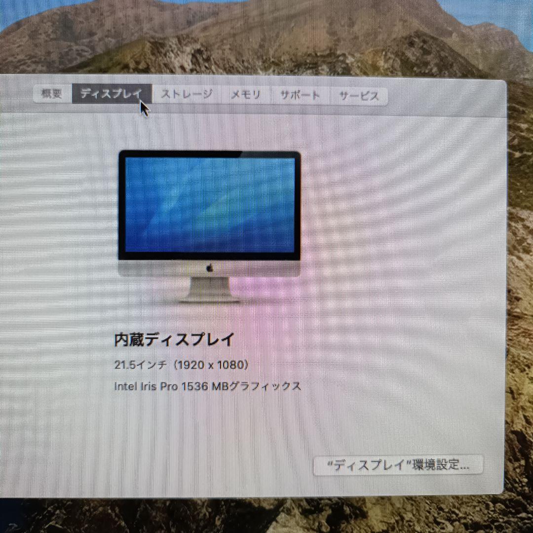 美品 初期化済 21.5 Apple iMac Catalina　2013