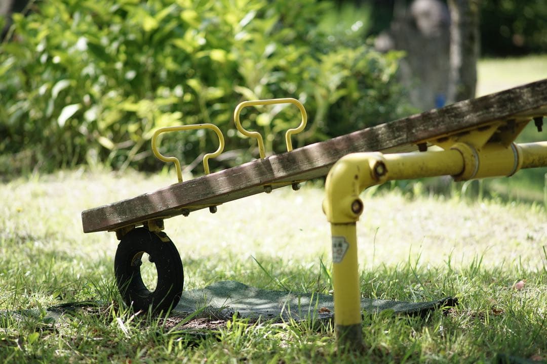 作例付き　NIKON Ai-s 200mm F4 nikkor 管mpr