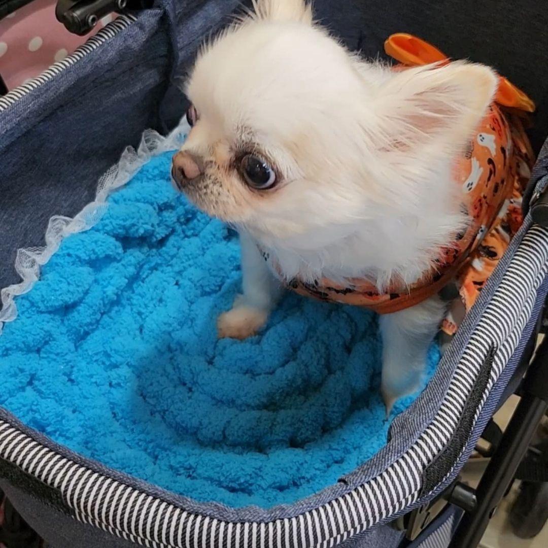 ペットカートマット　オーダー承ります