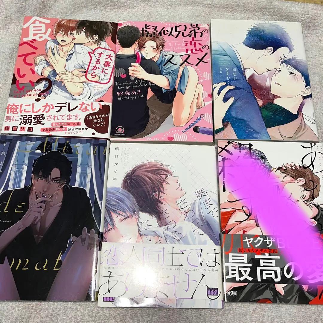 漫画　小説　追加　BL ボーイズラブ　2冊セットからおまとめ購入OK