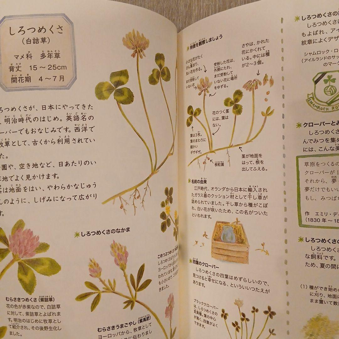【⭐もー⭐】くもん推薦図書、福音館書店など　絵本まとめ売り38冊