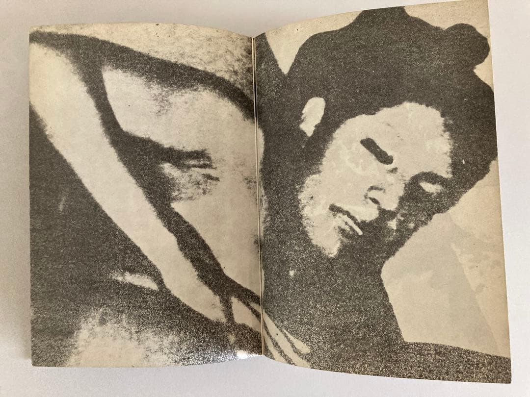 中平卓馬 まずたしからしさの世界をすてろ プロヴォーク