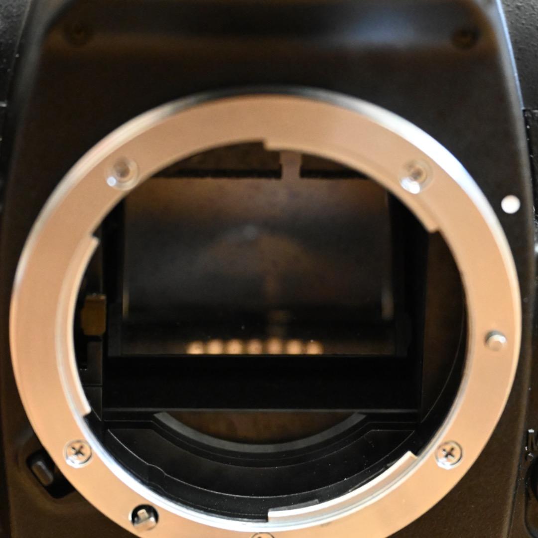 フィルムカメラの完成型。Nikon F80D＋標準レンズ+ストラップ新品