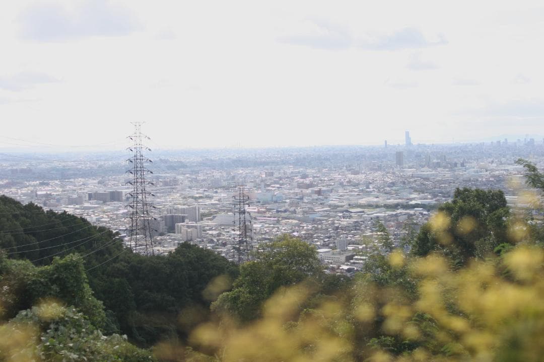 NIKON Ai-S NIKKOR 35mm F1.4 単焦点　（実写画像あり）