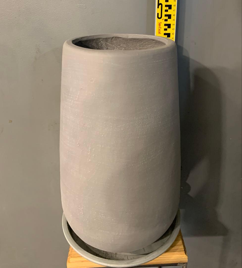 専用　鉢変更（12枚目）ストレリチア レギネ ファイバー鉢 お皿付き