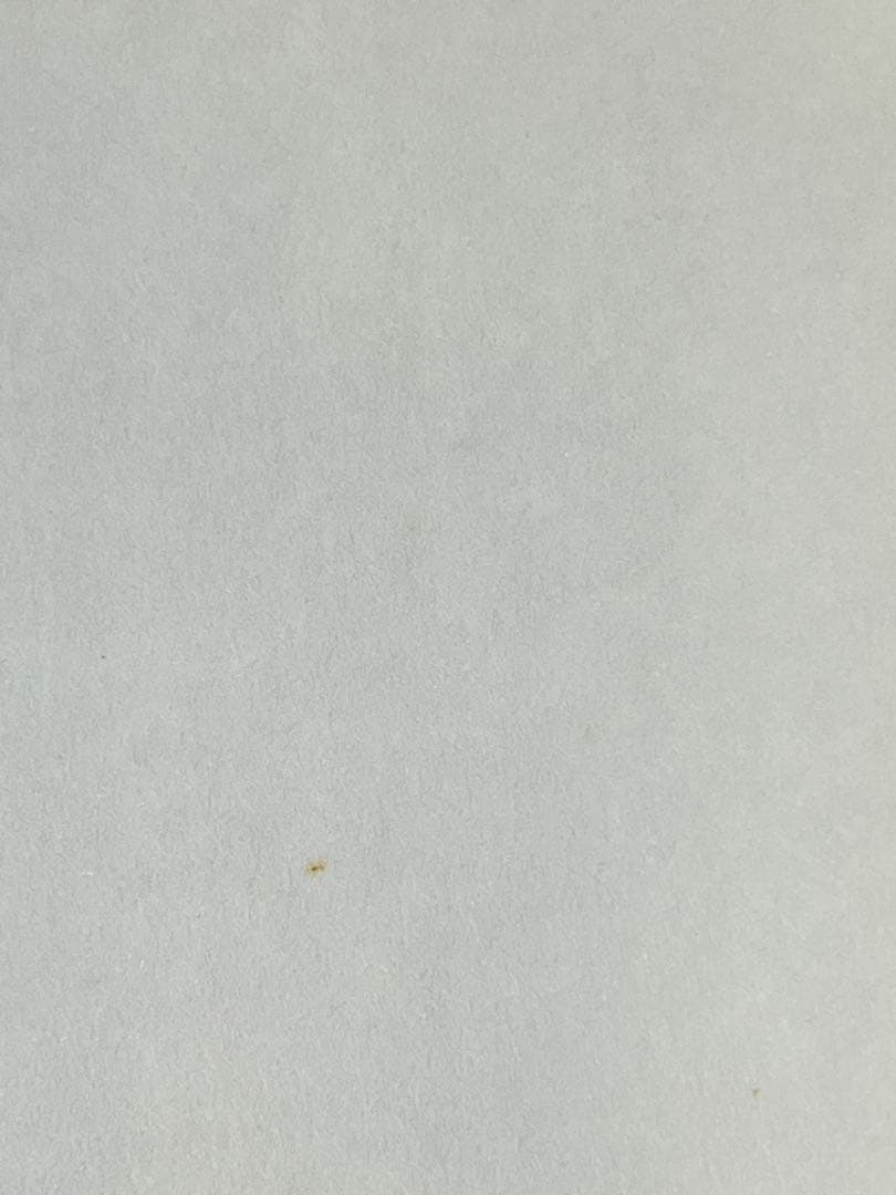 釣りキチ三平 平成版 1巻-12巻