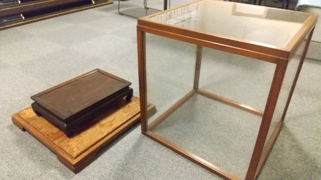 天然珊瑚✴︎根付きテーブルサンゴ ガラスケース付き