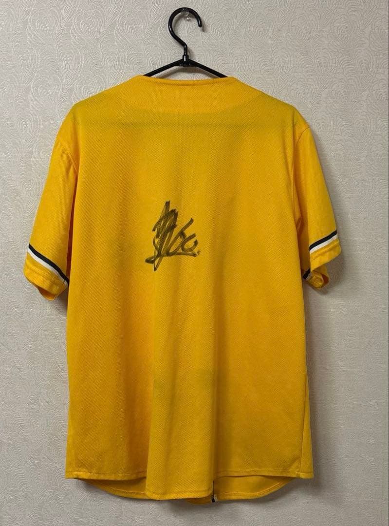 阪神タイガース　横田、梅野、岩崎、岩貞、中谷　2013ドラフト同期or九州人会