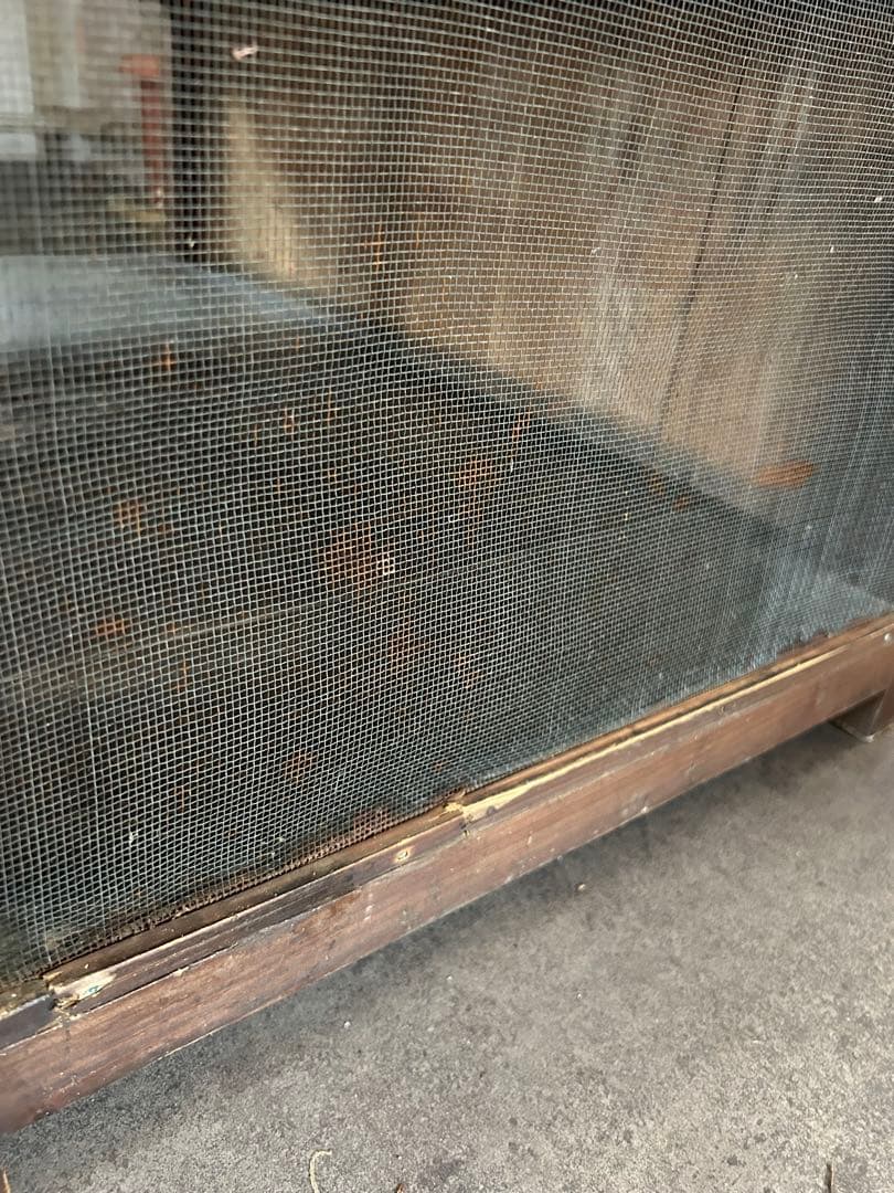 蝿帳食器棚　収納棚　網戸棚　古道具　古家具　昭和レトロ　店舗什器　アンティーク