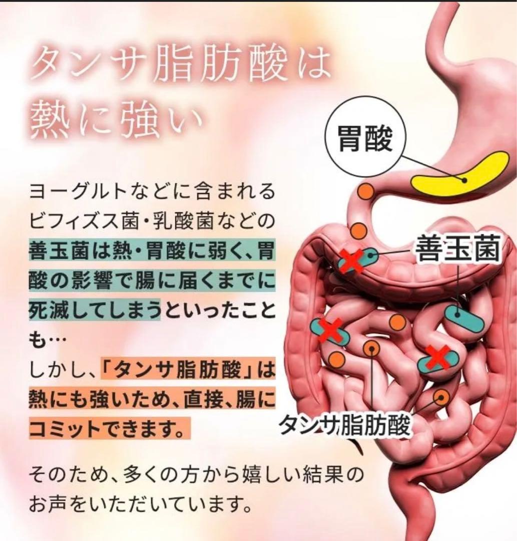 魔法のTANSA 409 ✨ピーチ味 短鎖脂肪酸 腸活 乳酸菌✨タンサ✨ベリー