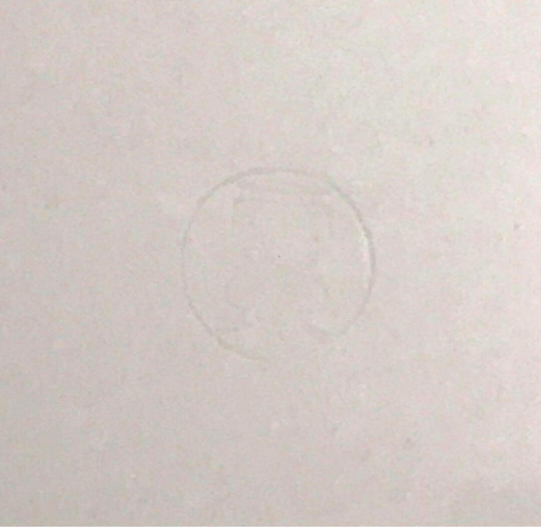 未使用保管品✨清水焼 雲泉 5.8号皿 彩色輪花捻祥瑞 単品✨京焼 加藤雲泉 皿