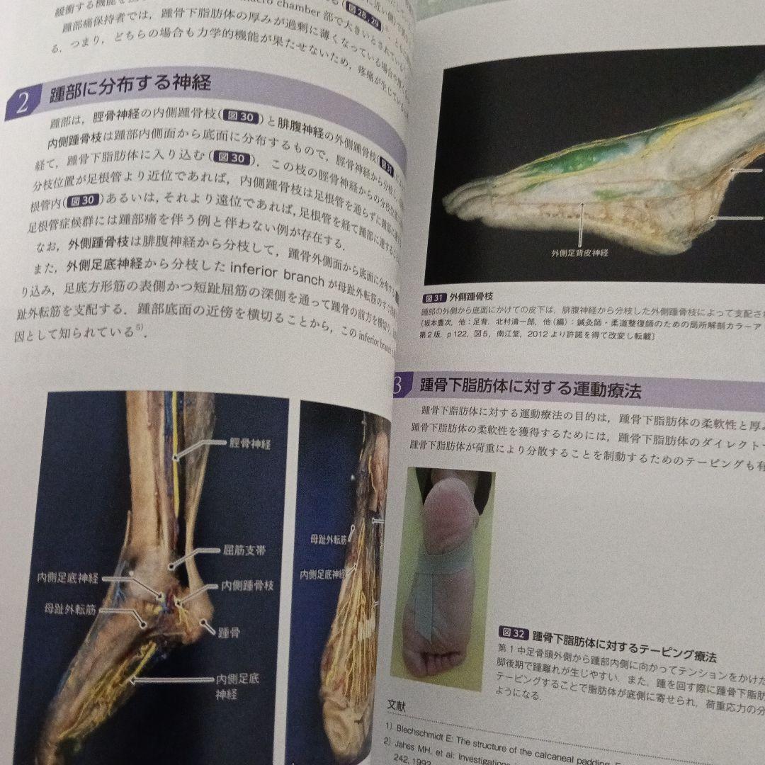 運動療法　その前に！運動器の臨床解剖アトラス