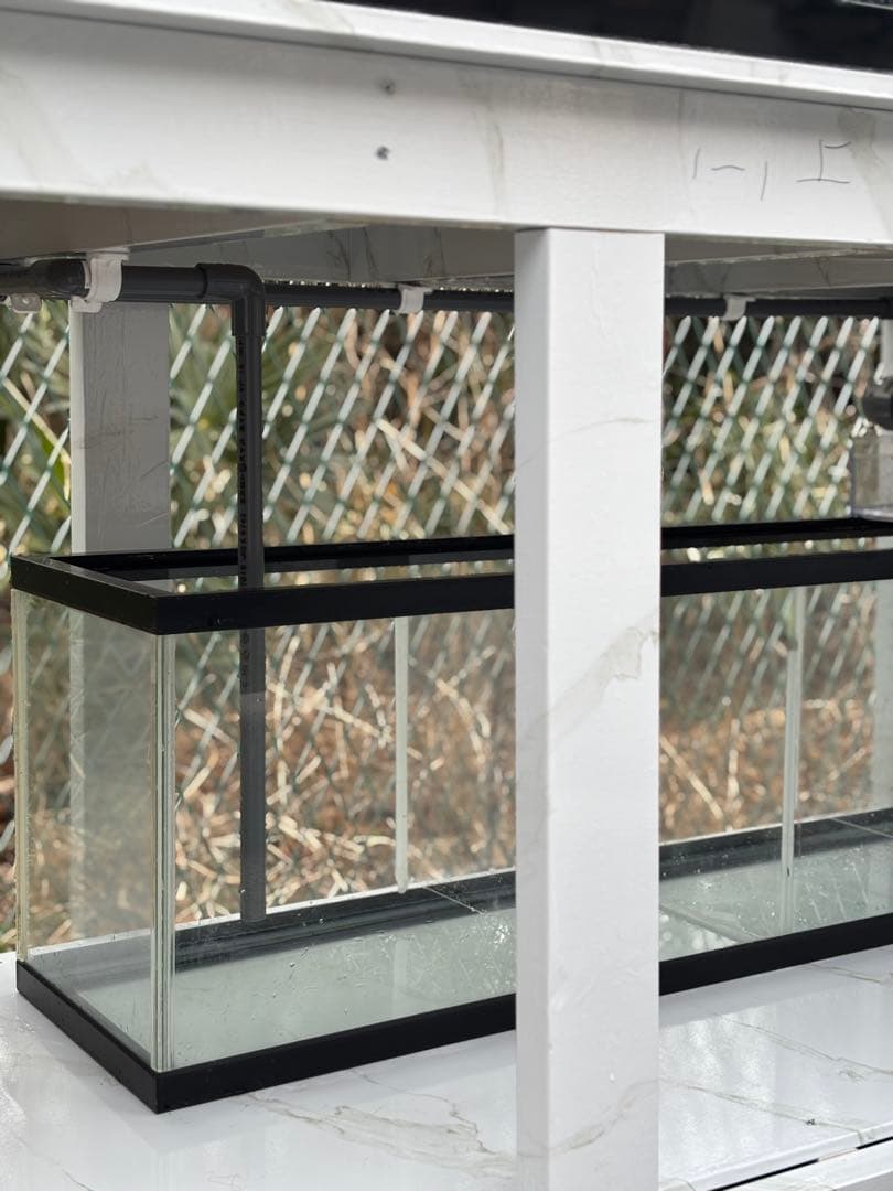 引き取り限定⇒ 180-60-80 オーバーフローアクリル水槽 と台のセット