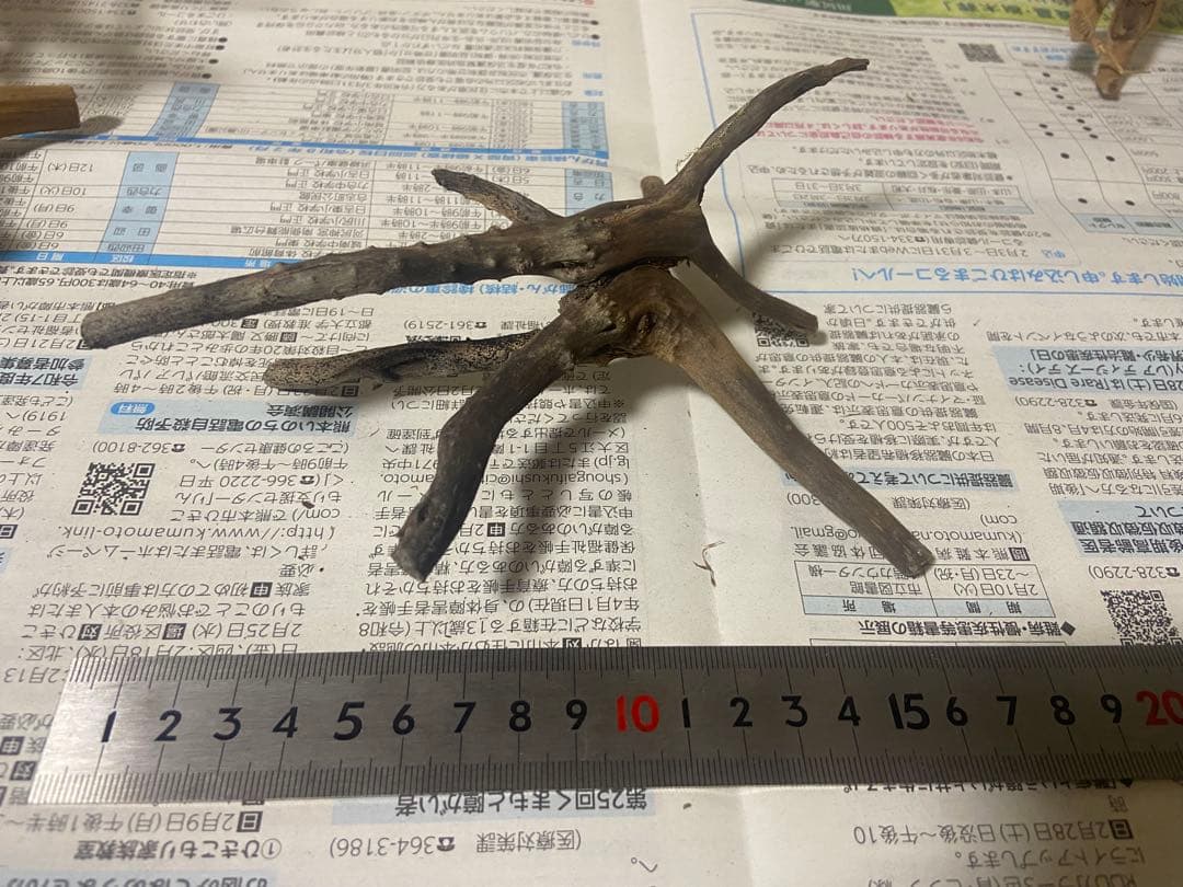 ブランチウッド　17点 まとめ品　未使用品