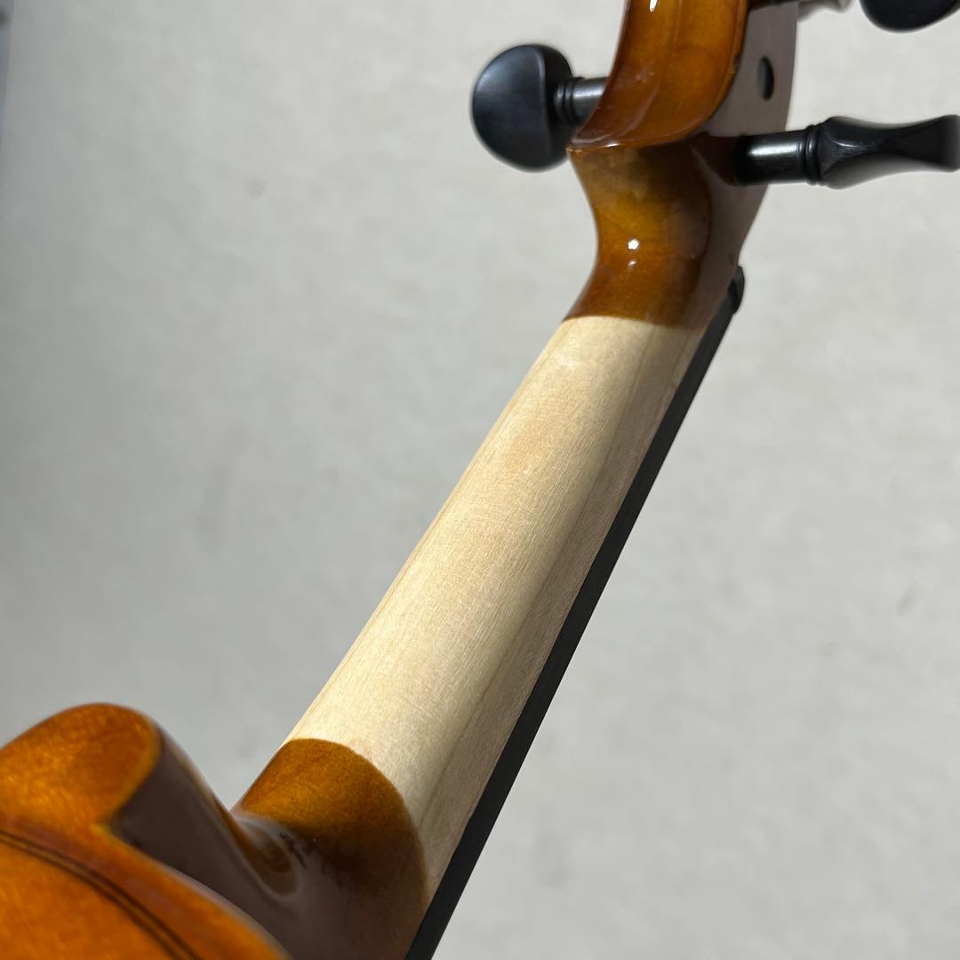 Carlo giordano エレキバイオリン EV-202 カルロジョルダーノ