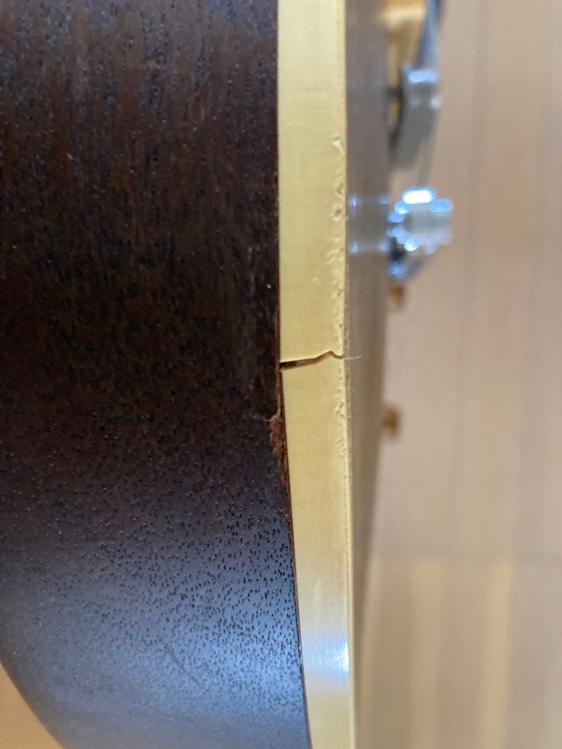 Bacchus bls120 レスポール