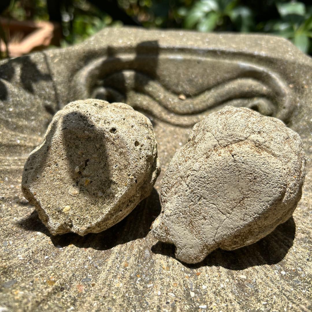 ワンダーデコールバードバスSMALL SHELL スクエア台座 雀のペア付き