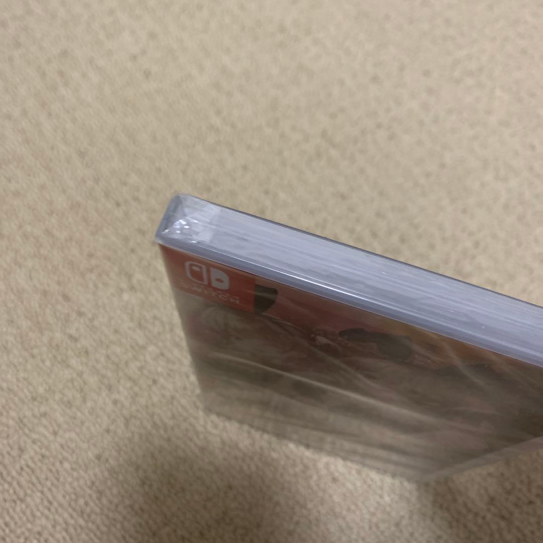 新品未開封 バニーガーデン BUNNY GARDEN switch