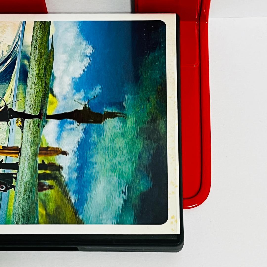 廃盤希少 ザ・フォール　落下の王国　特別版 〈2枚組〉DVD