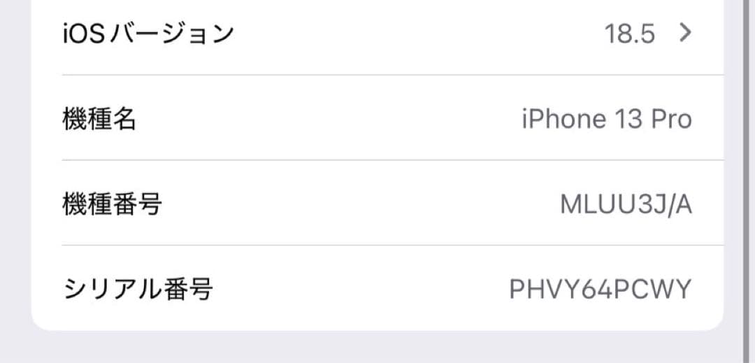 Apple iPhone 13 Pro シエラブルー 本体　美品