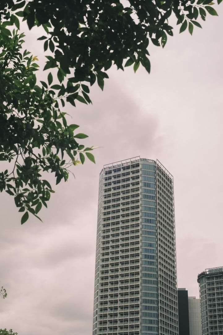 辻野様 8枚玉！Super-Takumar 50mm f1.4 前期