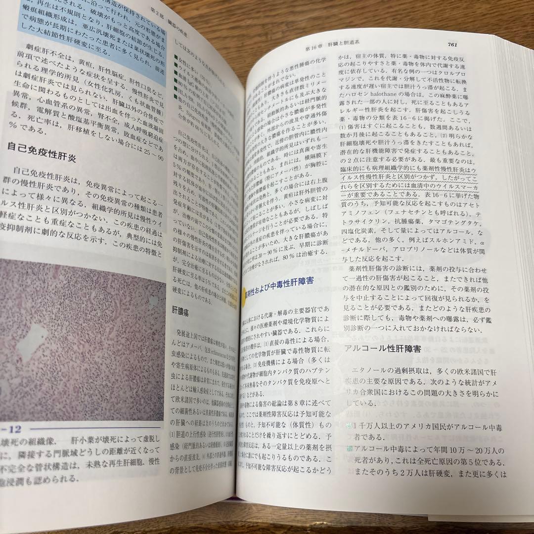 基礎病理学 第7版 basic pathology