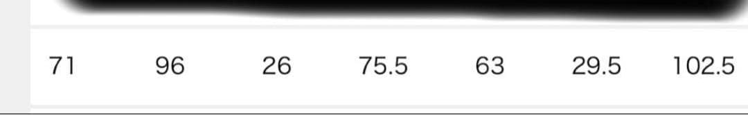 今期2025/タグ付き新品/L'Appartement ワイドチノパンツ