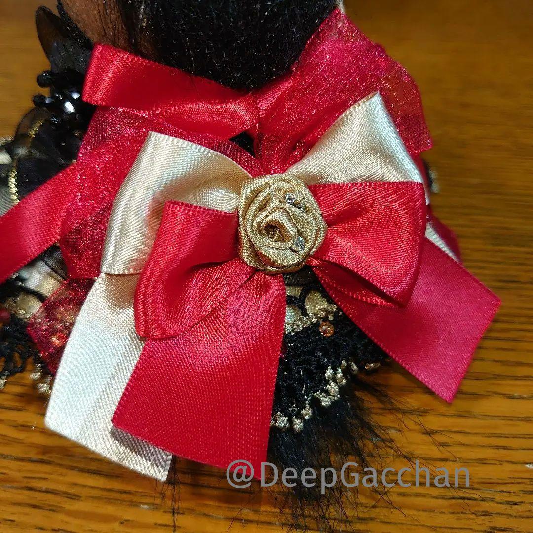 リバティアイランド　アイドルホースドレス＆マント　Sサイズ