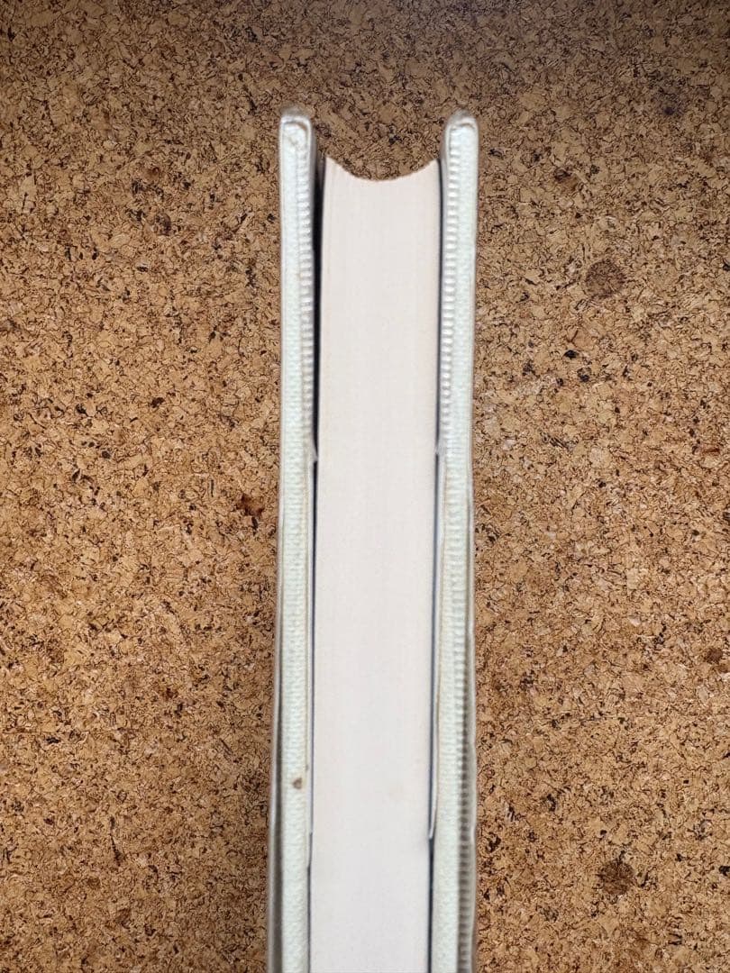 エミール・アジャール 「これからの一生」 1977年初版帯付